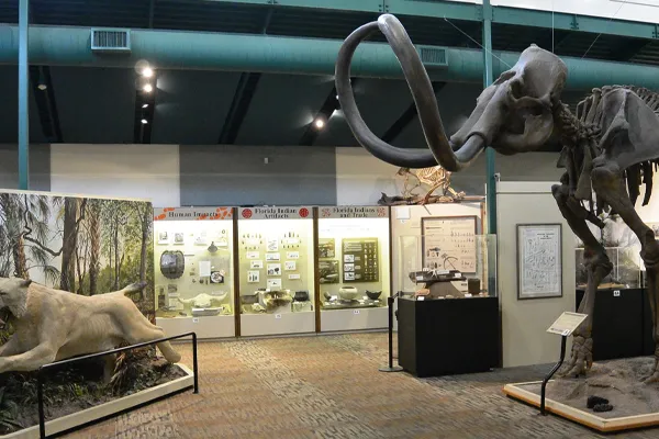 Silver River Museum & Environmental Education Center